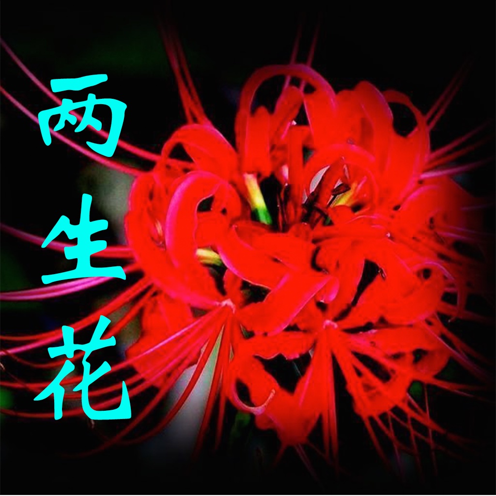 两生花(有声小说) icon