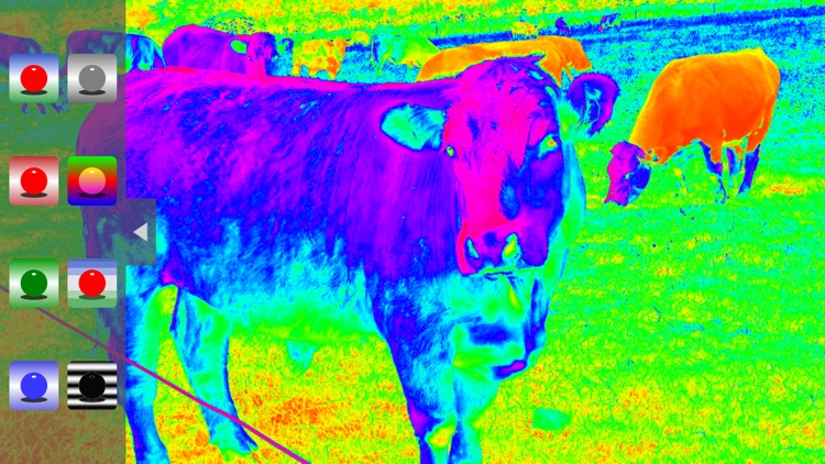 Virtual Night Vision