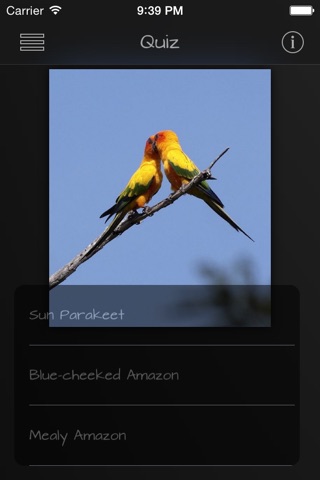 Parrots Pedia screenshot 4