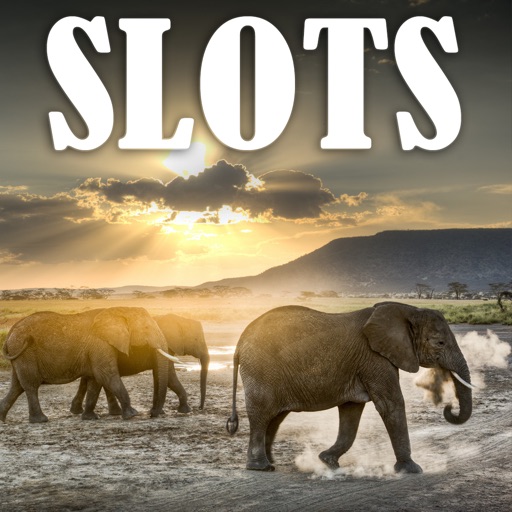 Safari Animals Slots - FREE Las Vegas Game Premium Edition icon