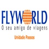 Flyworld Passos