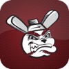 Wichita Wingnuts