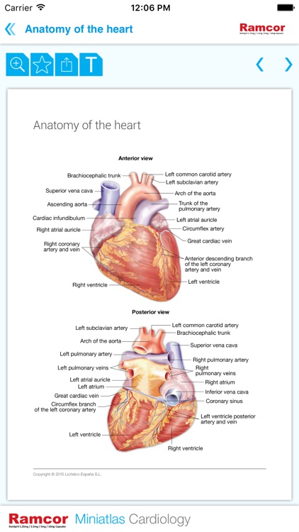 Cardiology Miniatlas screenshot-3