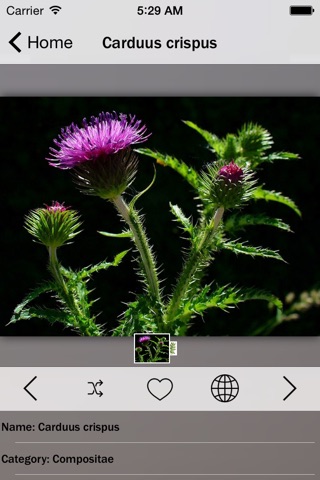 Medicinal Plants Guide Pro screenshot 2