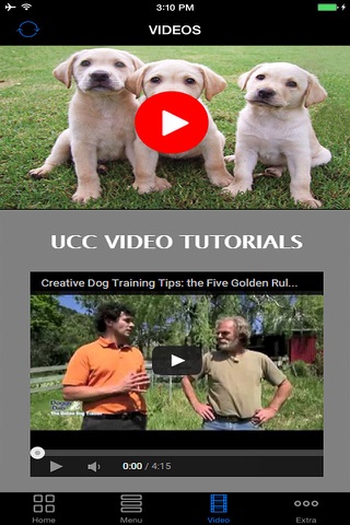 A+ How To Train Dogs - Teach Your Dog How To Potty, Crate, Tricks, Tips & More. screenshot 3