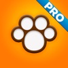 Perfect Dog Pro - Ultimate Breed Guide To Dogs - iPhoneアプリ