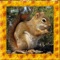 Squirrel Simulator 3D