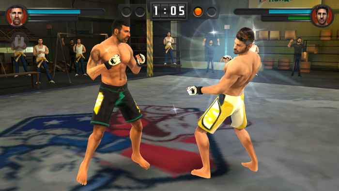 Brothers Clash of Fighters