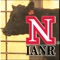 NUBeef-BCS is an application developed to assist beef producers in managing nutrition programs for beef cattle