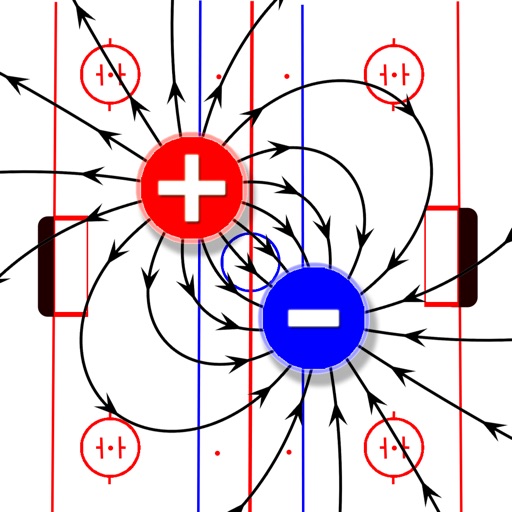 Electric Field Hockey Icon