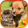 Icon Cute Pets - Real Dogs and Cats Picture Puzzle Games for kids