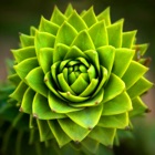 Top 40 Education Apps Like Cactus Plant Bible+ - Best Alternatives