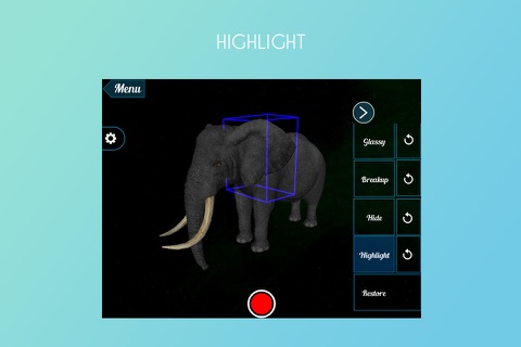 Elephant 3D screenshot 3