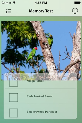 Parrots Species screenshot 3