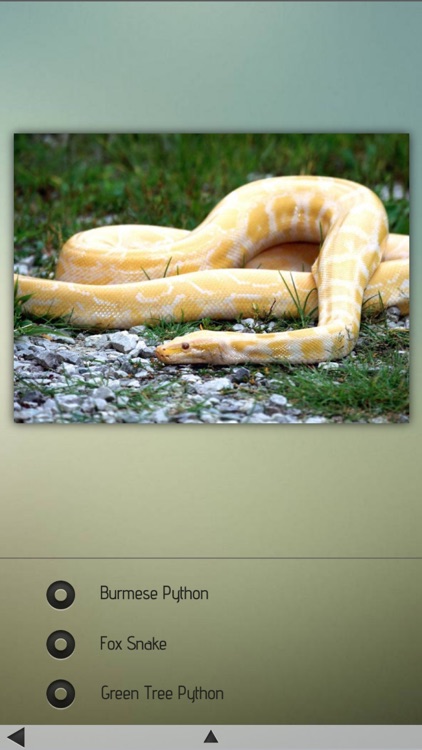 Snakes-Encyclopedia screenshot-4