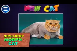 Game screenshot Simulator Morph Cat apk