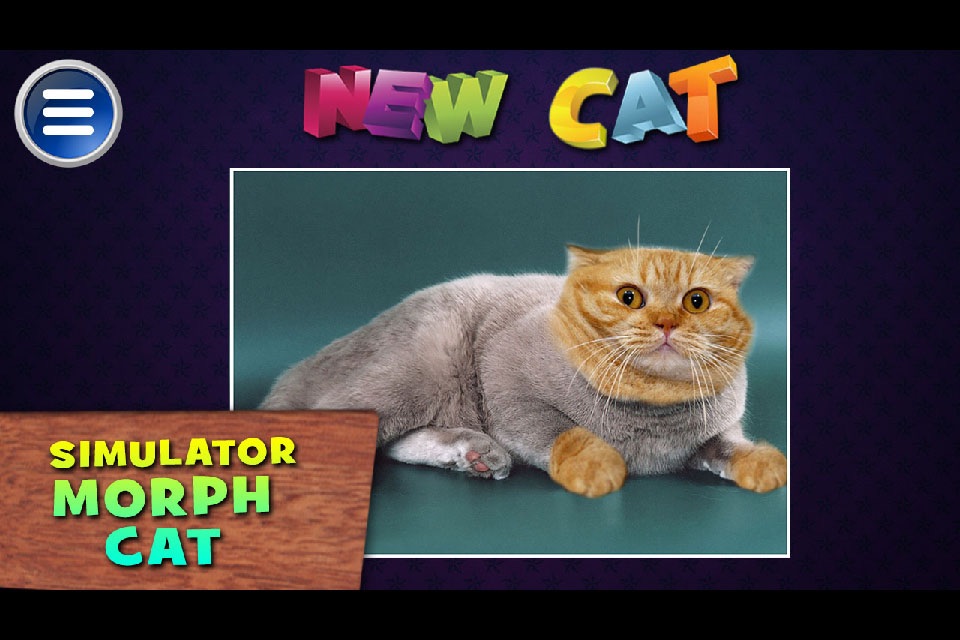 Simulator Morph Cat screenshot 2