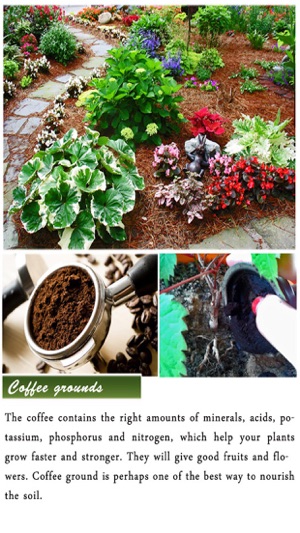 DIY Gardening Tips(圖2)-速報App