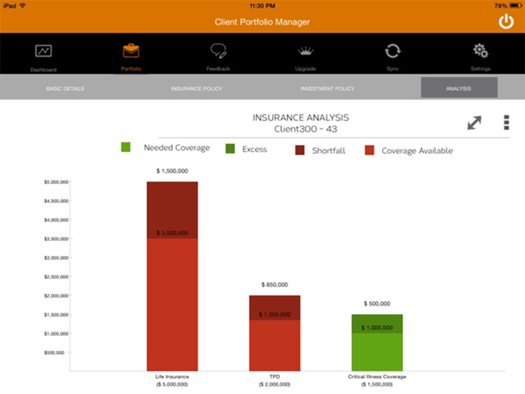 Client Portfolio Manager