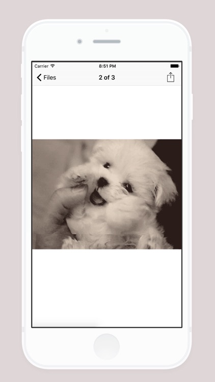 D/L Plus Free - Get and Save Files From Web Browser & File Manager screenshot-4