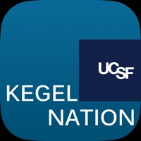 Kegel Nation  PC 용