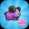 Crazy Sheep Run