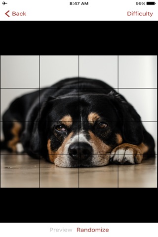 Dog Puzzles Extreme! 3 screenshot 3