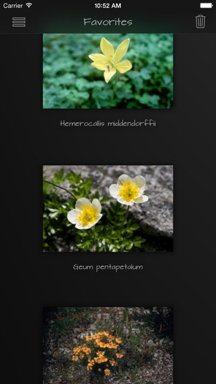 Medicinal Herbs Guide