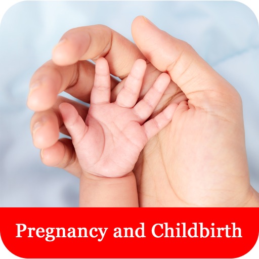 Pregnancy and Childbirth - Baby Month-To-Month Development