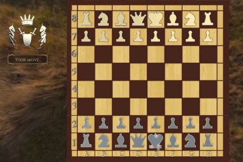 Age of Chess™ screenshot 4