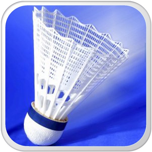 Badminton Game Fun icon
