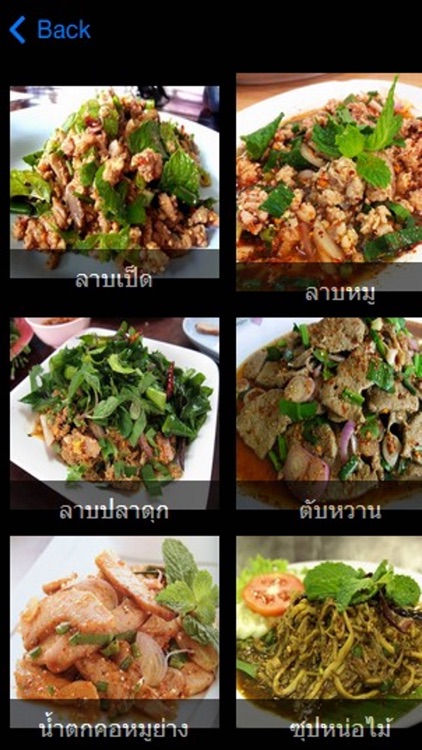 อาหารอีสาน สุดยอด อาหารไทย - Thai Food Recipe