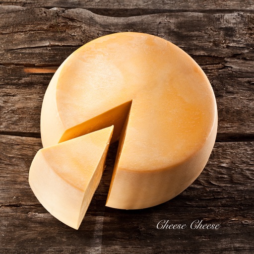 Cheese Cheese icon