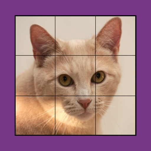 Cat Puzzles Extreme! Vol. 1 iOS App