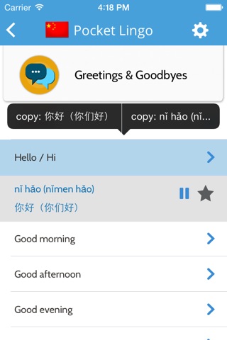 Chinese Mandarin Pocket Lingo - for trips to China screenshot 2