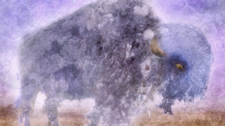 Animal Totems Empowerment Deck screenshot-4