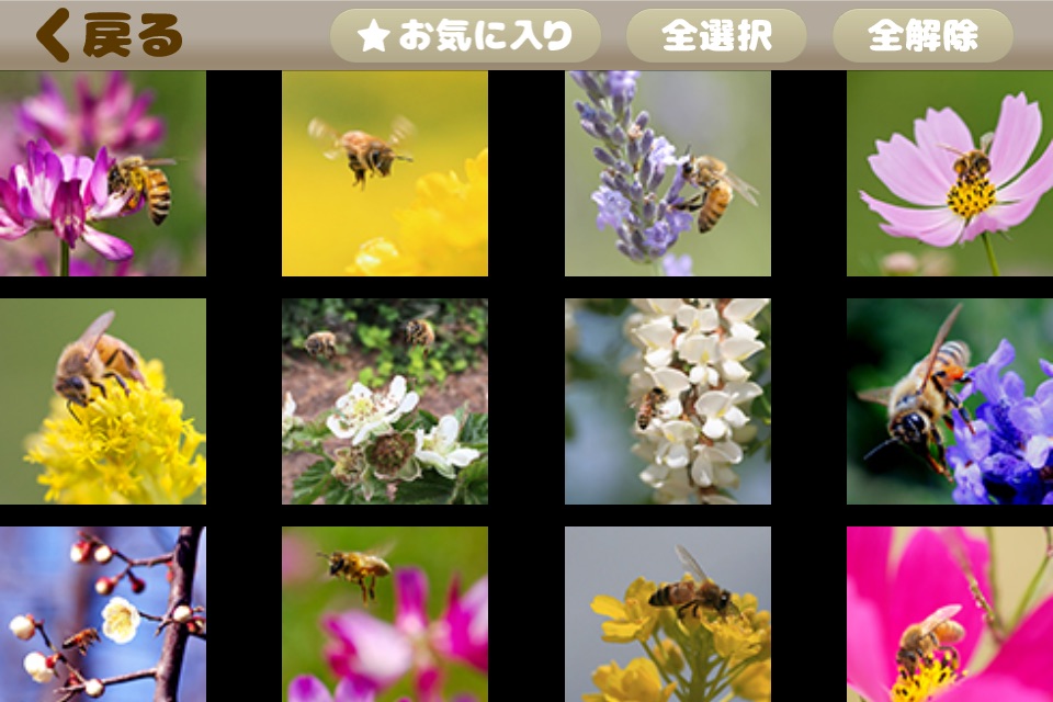 みつばち時計　～山田養蜂場から里山でミツバチと共に暮らす風景を～ screenshot 4