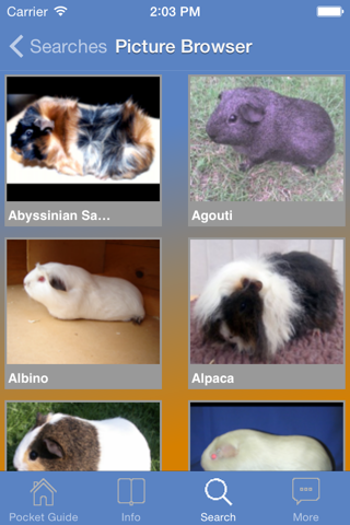 Pocket Guide Guinea Pigs screenshot 2