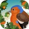 Children's educational application that playfully talks about the habits of the inhabitants of the forest