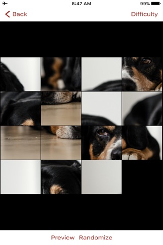 Dog Puzzles Extreme! 3 screenshot 4