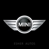 Mini Esher