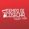 TIEMPO DE COSECHA