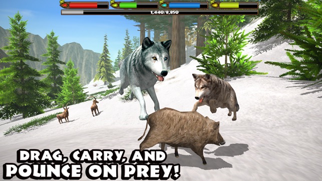 Ultimate Wolf Simulator(圖3)-速報App