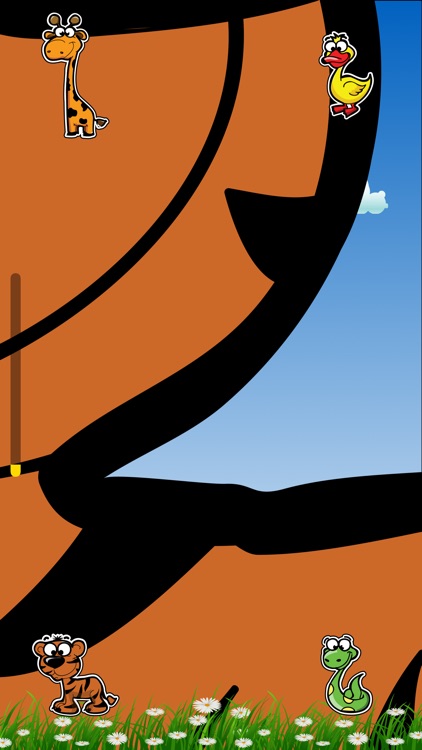 Animal Zoom Quiz