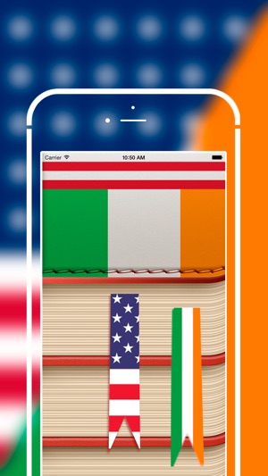 Offline Irish to English Language Dictio