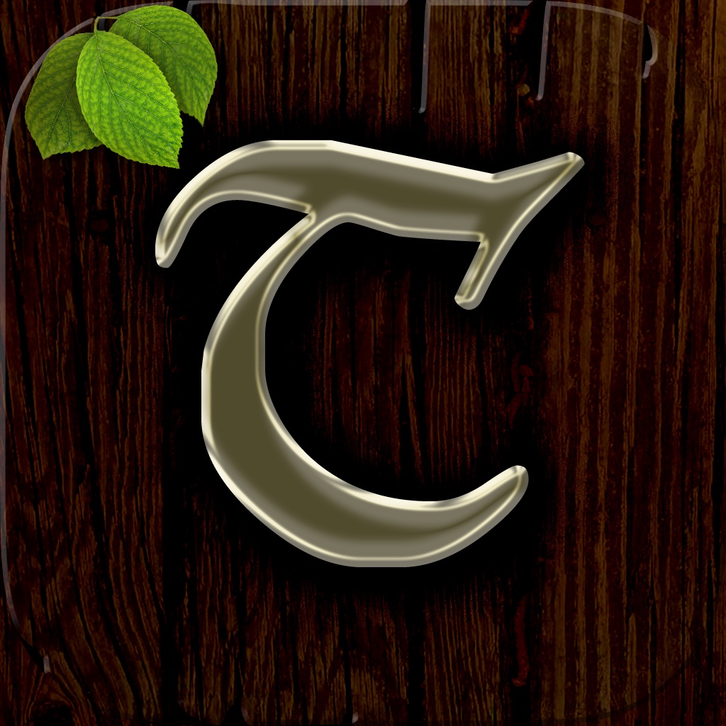 Tetraka Puzzle icon