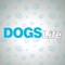 Dogs Life is an informative digital magazine for the entire family
