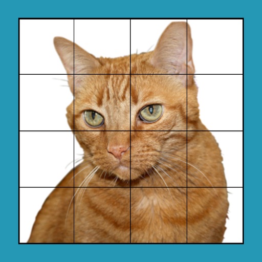 Cat Puzzles Extreme! XL iOS App