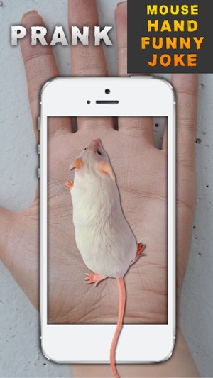 Mouse Hand Funny Joke(圖1)-速報App