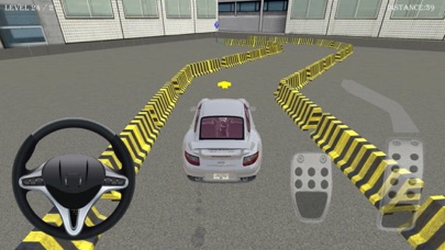 Car Parking Barrier Simulator 1.0 IOS -